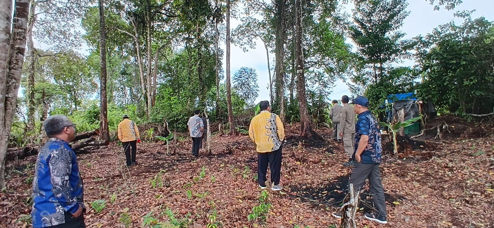 Monitoring Peninjauan Perambahan Hutan Di Lahan Milik Pemerintah Kota Tarakan